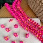 Clay Fushia & Yellow Plumeria