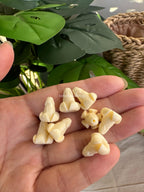 Resin & Coral Powder Puakenikeni Beads