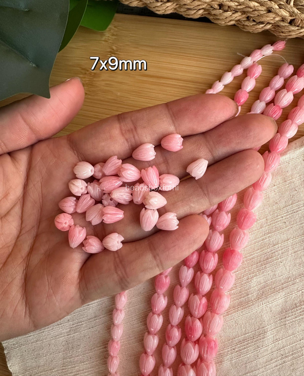 Variegated Pink Pikake