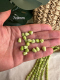 Variegated Green Pikake