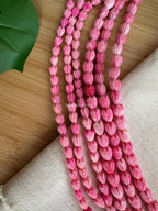 Variegated Strawberry Pink Pikake