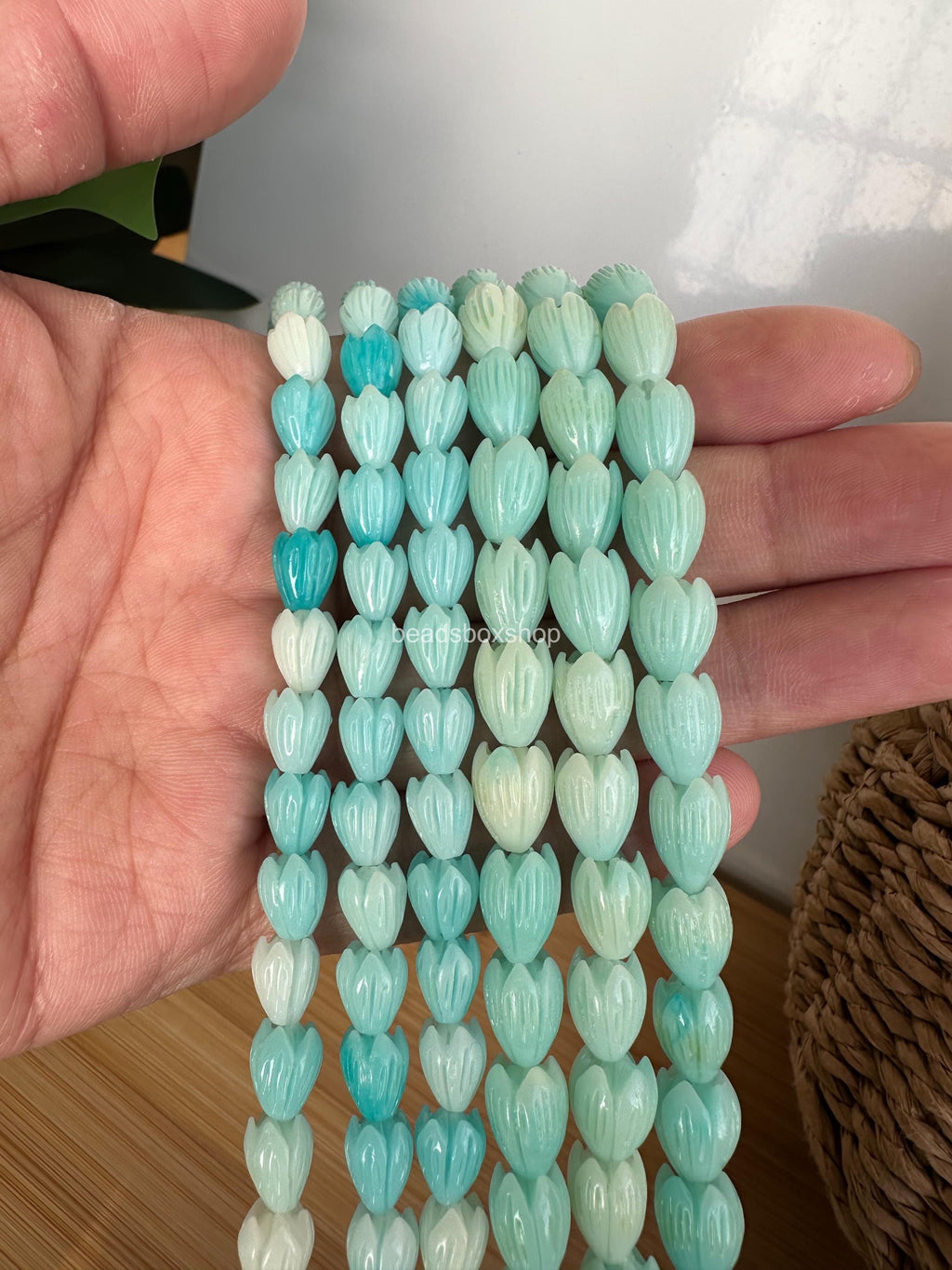 Variegated Aqua Blue Pikake