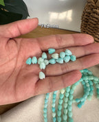 Variegated Aqua Blue Pikake