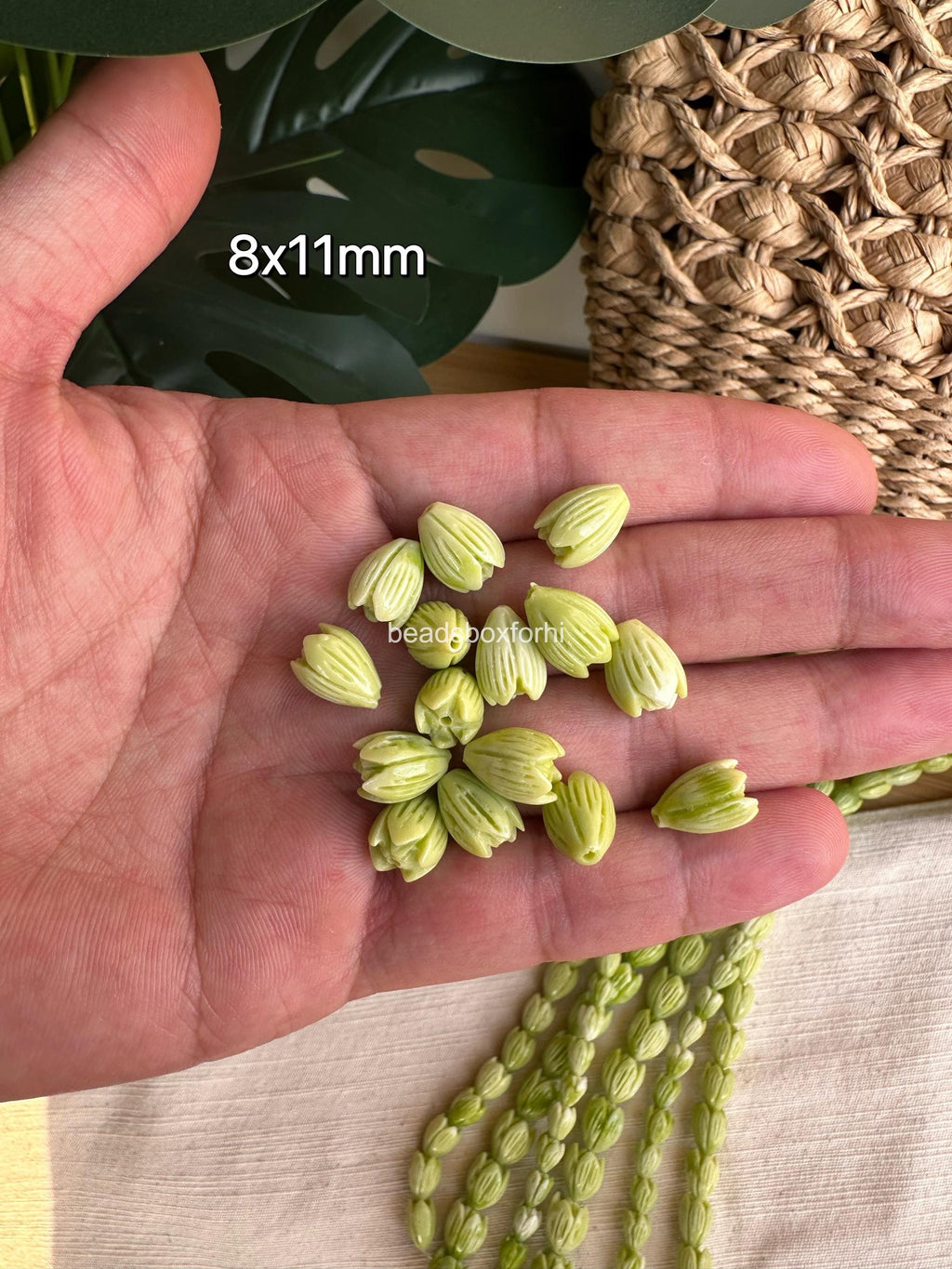 Variegated Green Pikake