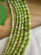 Variegated Green Pikake