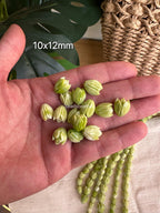Variegated Green Pikake