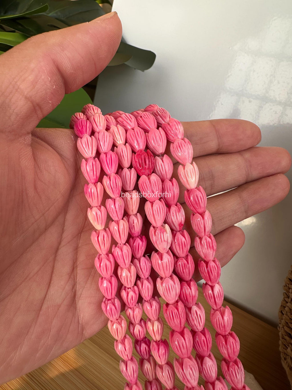 Variegated Strawberry Pink Pikake