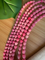 Variegated Strawberry Pink Pikake