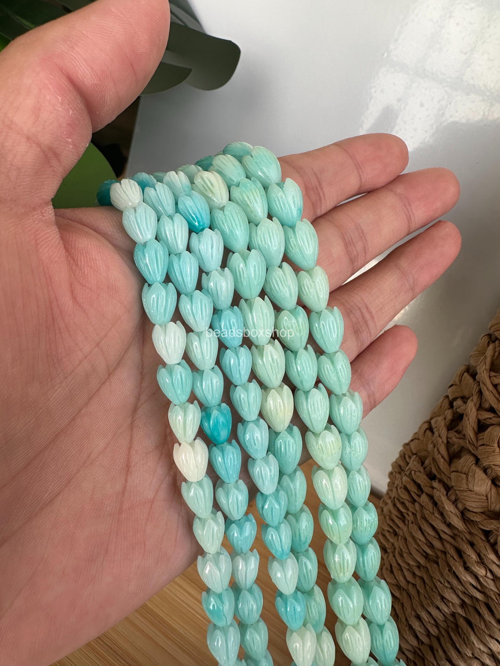 Variegated Aqua Blue Pikake