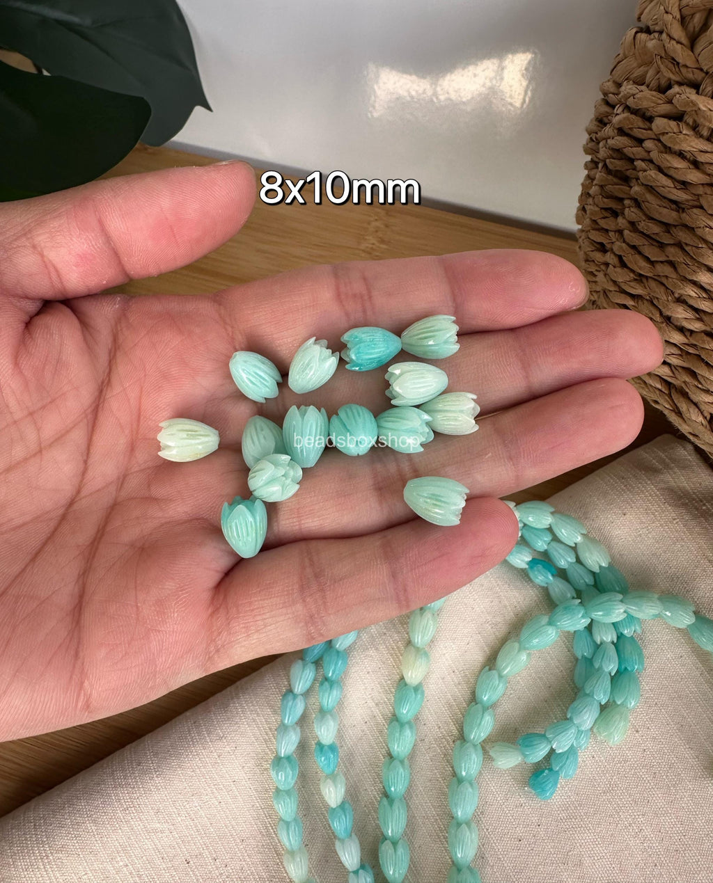Variegated Aqua Blue Pikake