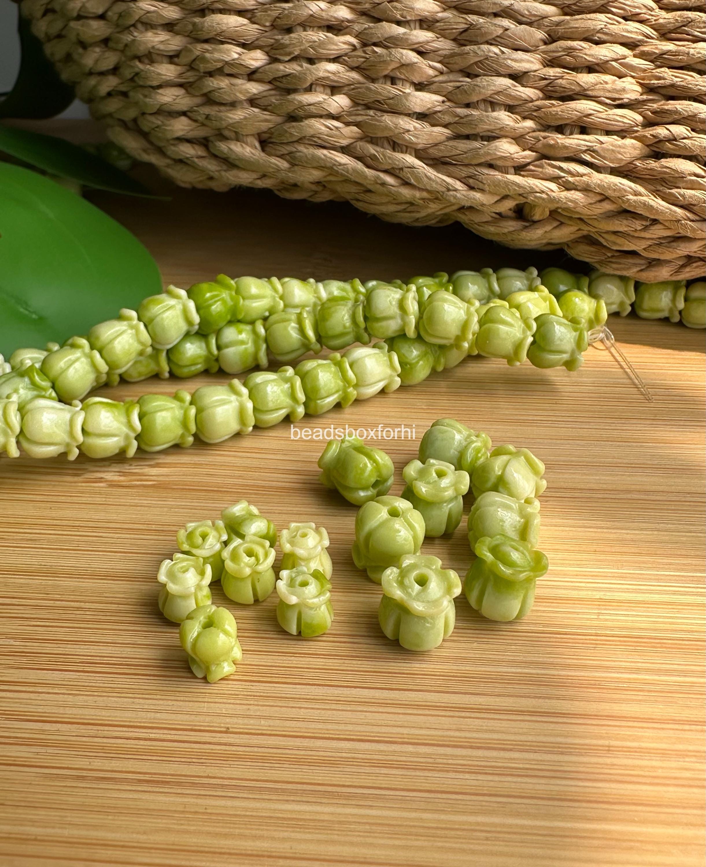 Variegated Green Crown Flower