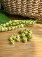 Variegated Green Crown Flower