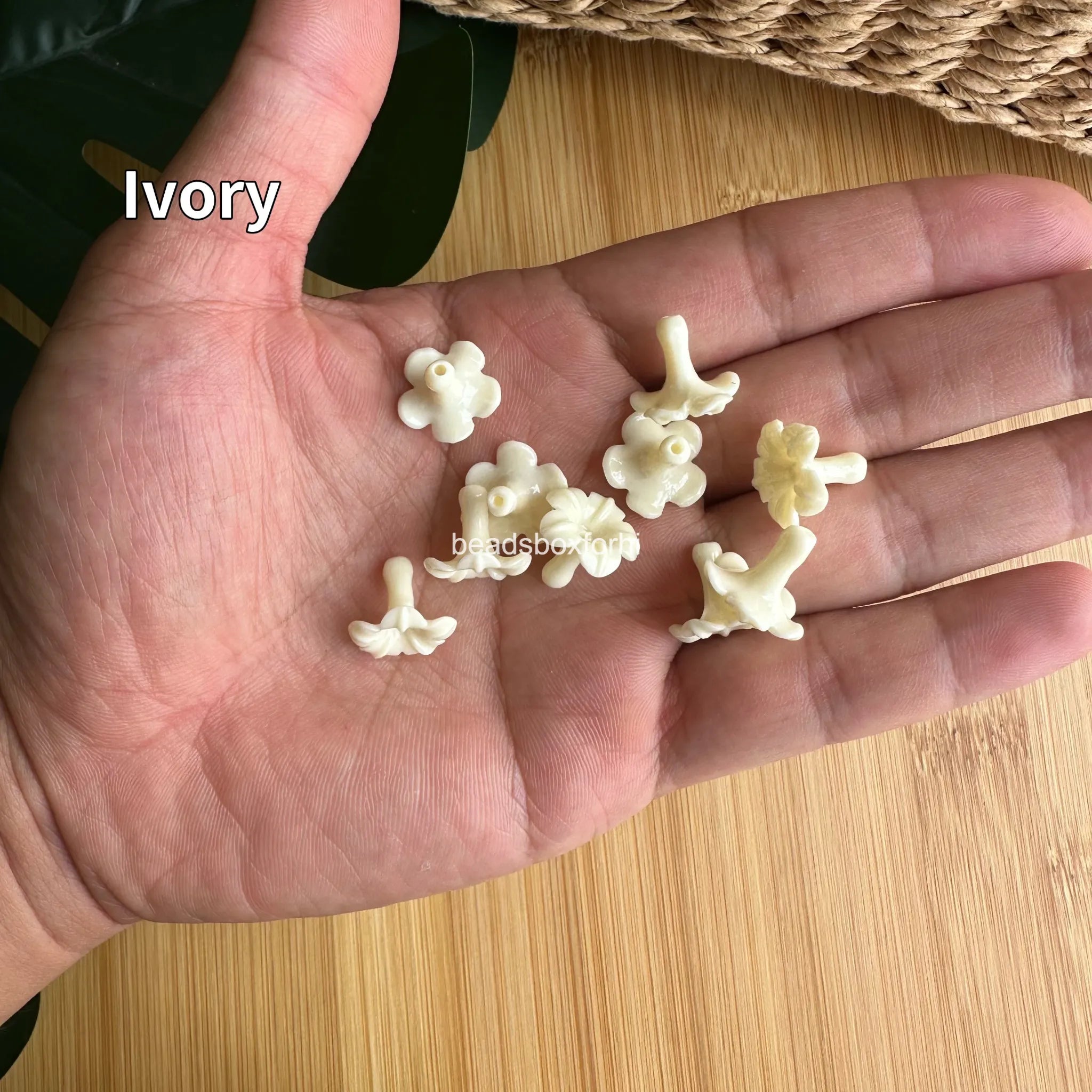 Resin small Puakenikeni