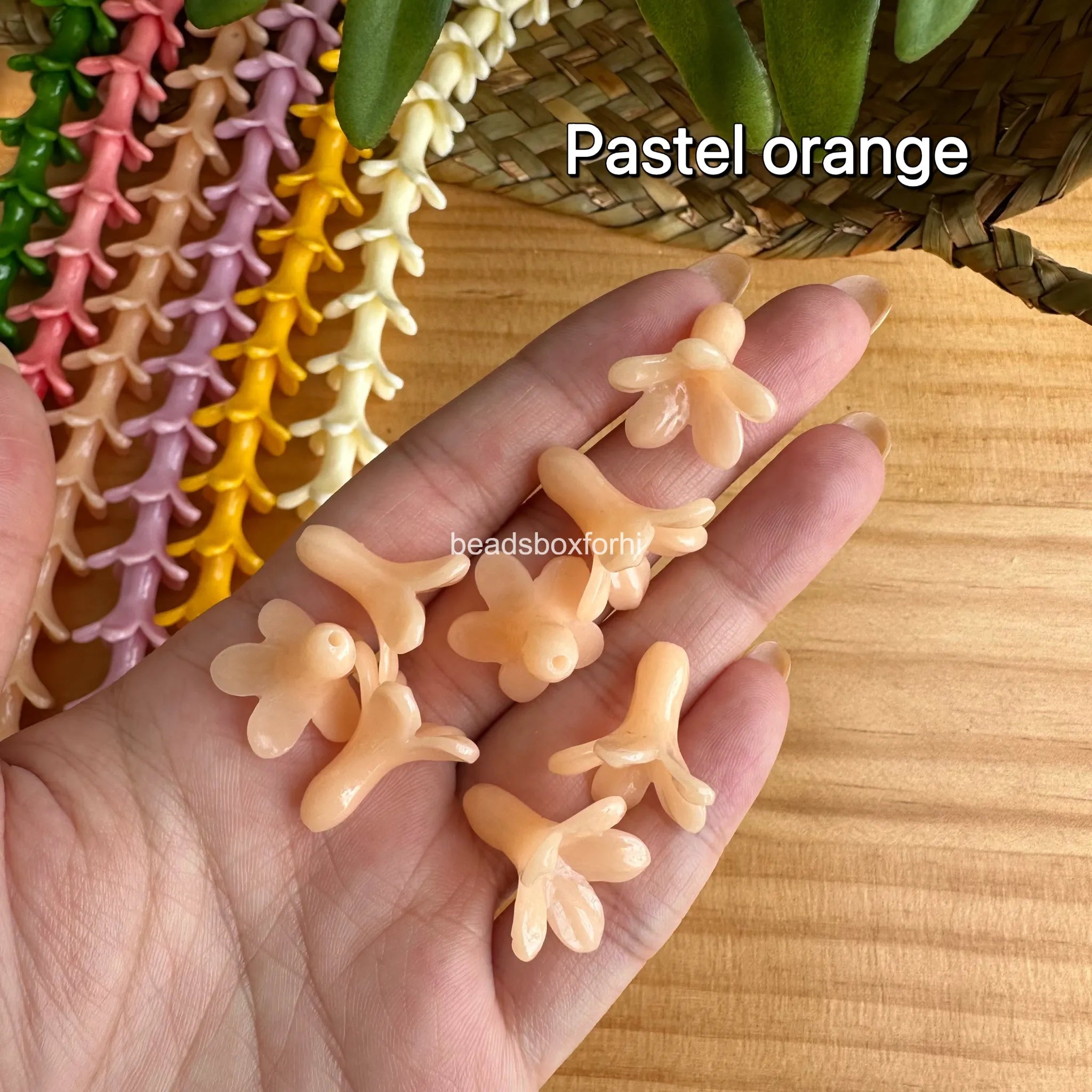 18x19mm pakalana