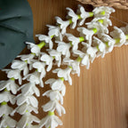 Hand Painted Clay Blooming Pikake