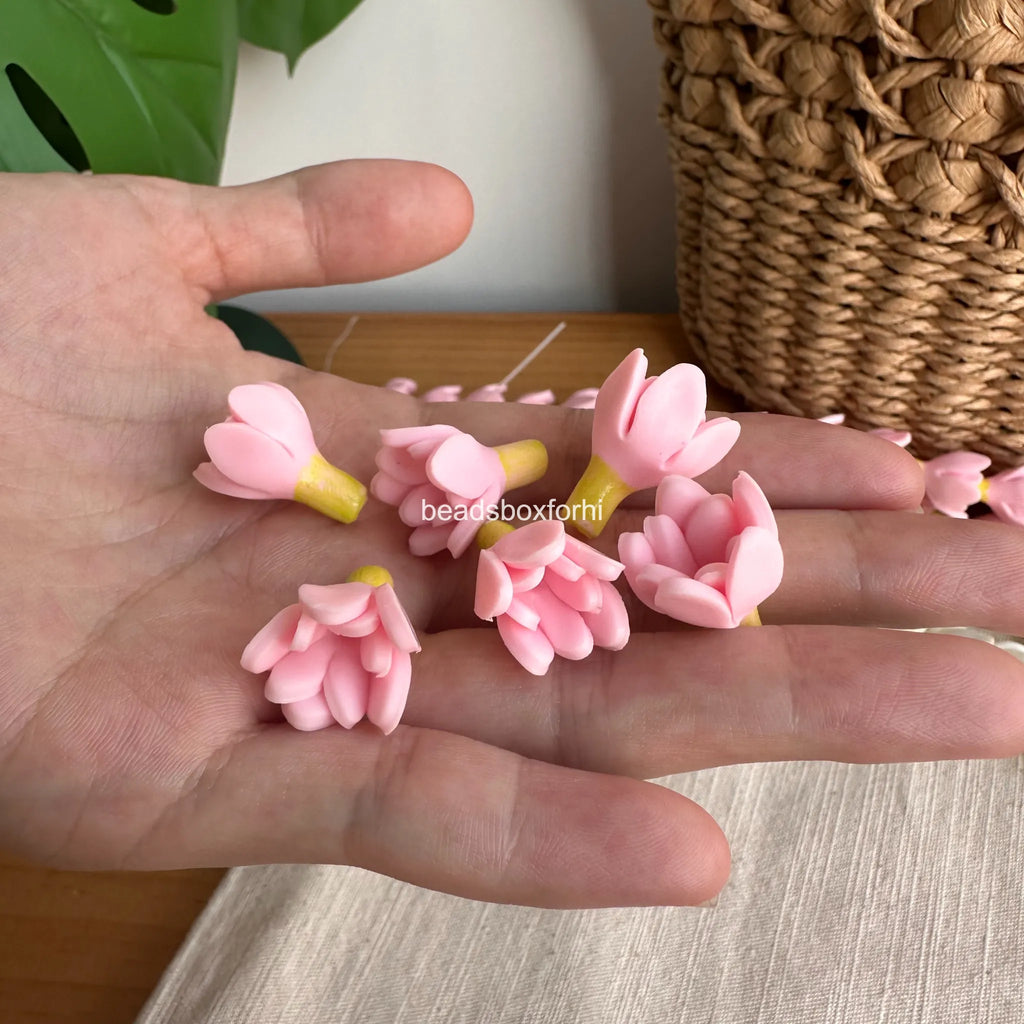 Polymer Clay pikake