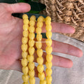 Translucent Yellow Pikake