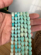 Variegated Aqua Blue Pikake