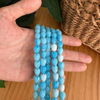 Variegated Blue Pikake