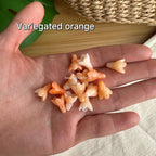 Resin & Coral Powder Pakalana
