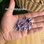 Resin small Puakenikeni