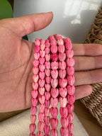 Variegated Strawberry Pink Pikake