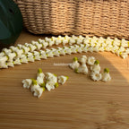 Puakenikeni/ Pakalana with green top
