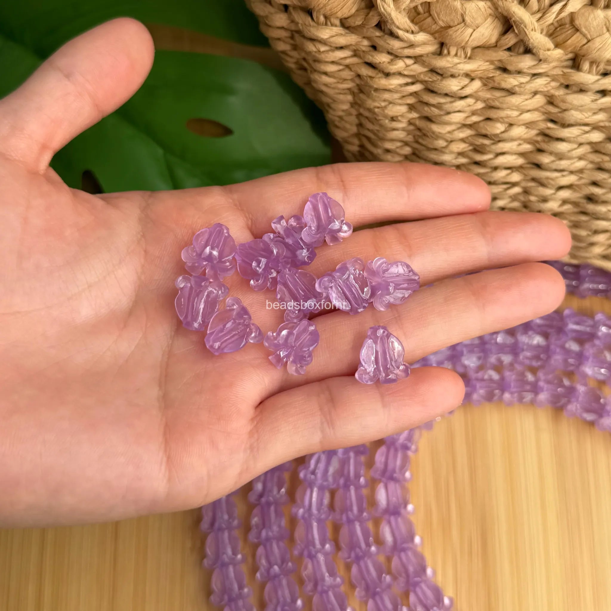 Transparent Purple Crown Flower