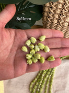 Variegated Green Pikake