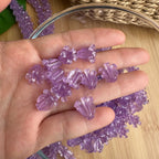 Transparent Purple Crown Flower