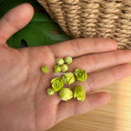 Variegated Green pakalana