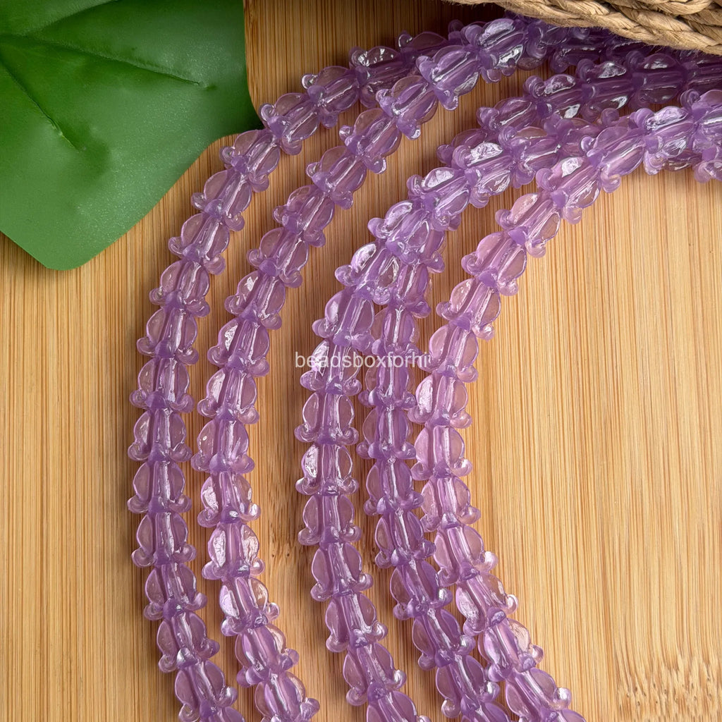 Transparent Purple Crown Flower