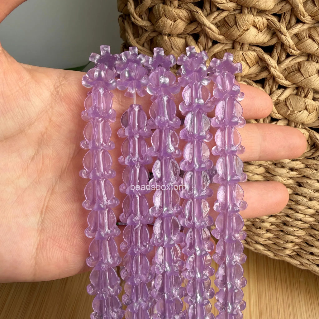 Transparent Purple Crown Flower