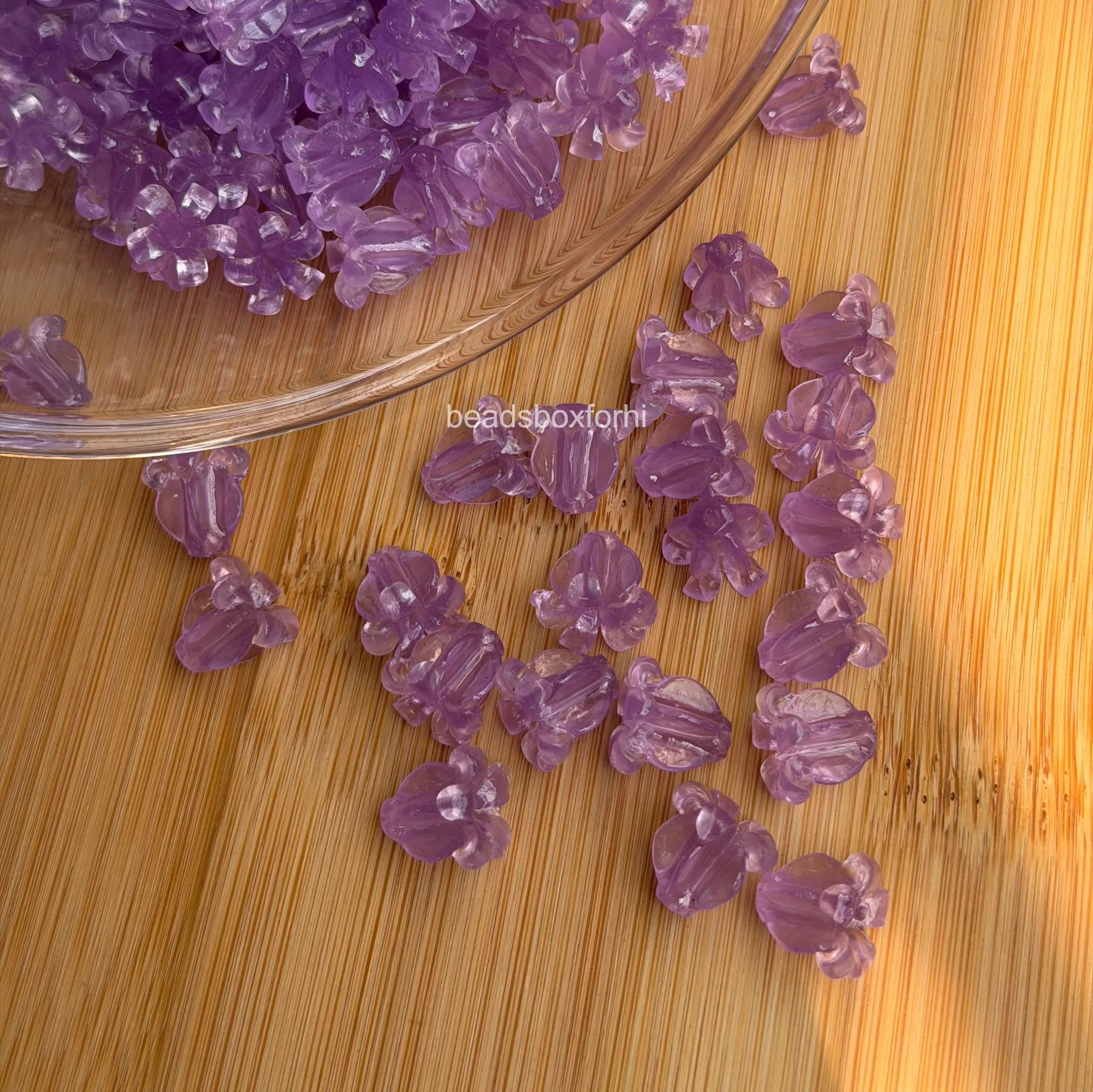Transparent Purple Crown Flower