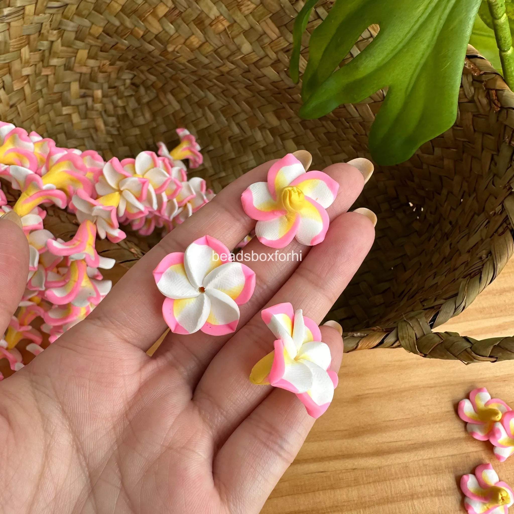 Clay White& Pink Plumeria