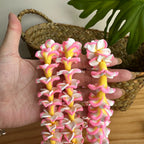 Clay White& Pink Plumeria