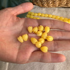 Translucent Yellow Pikake