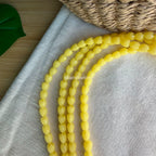 Translucent Yellow Pikake