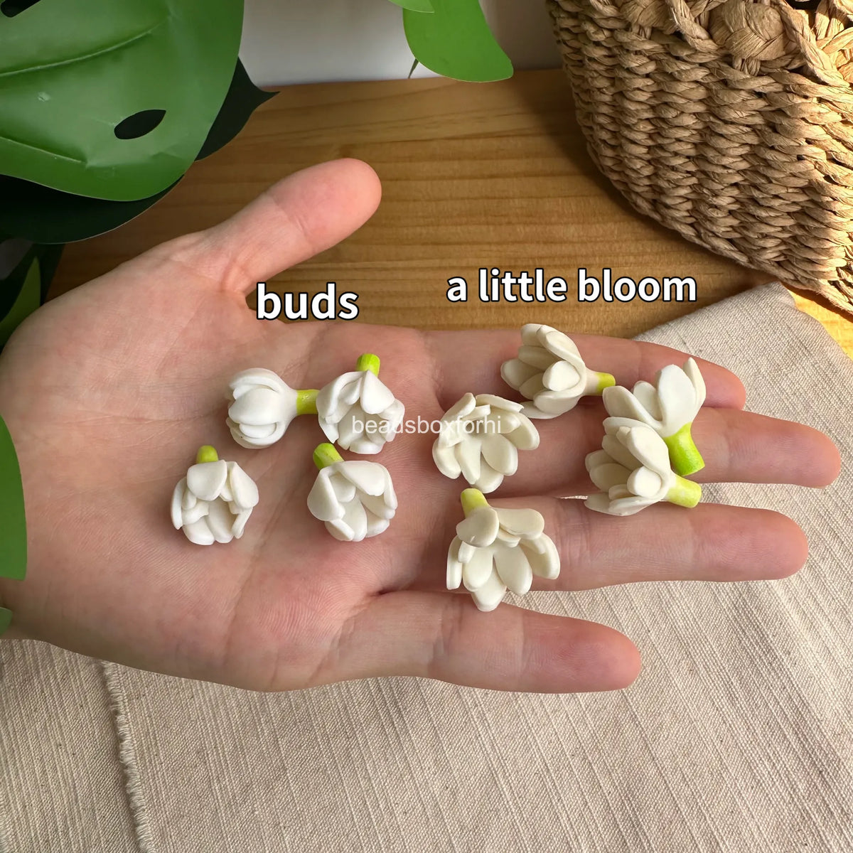 Polymer Clay pikake