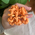 small short polymer clay puakenikeni