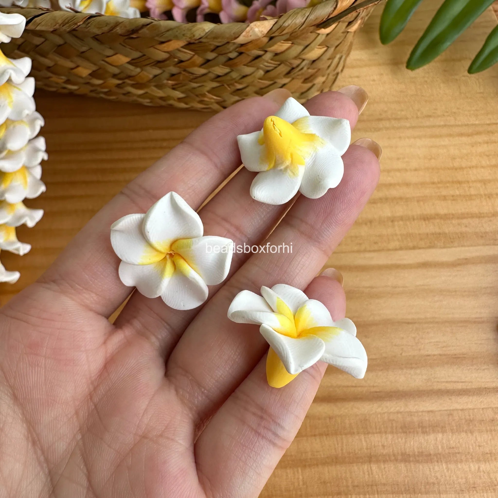 Clay White/ Pink Pluermia